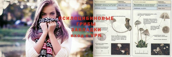 первитин Ладушкин