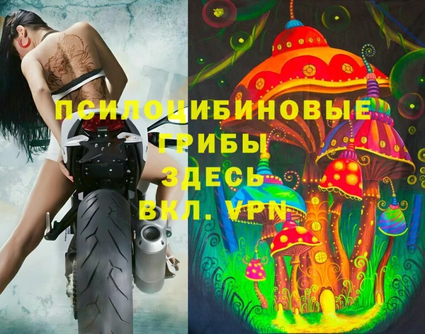 молекула духа Лабытнанги