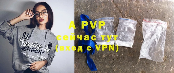 молекула духа Лабытнанги