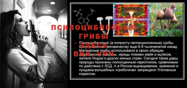 мдма Лагань