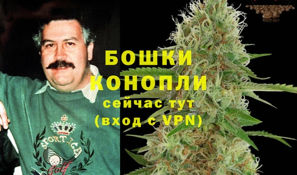 первитин Ладушкин