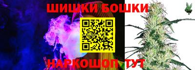 ECSTASY Кингисепп