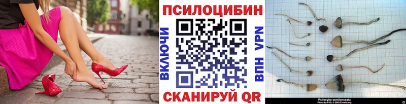 Псилоцибиновые грибы прущие грибы магазин Лосино-Петровский