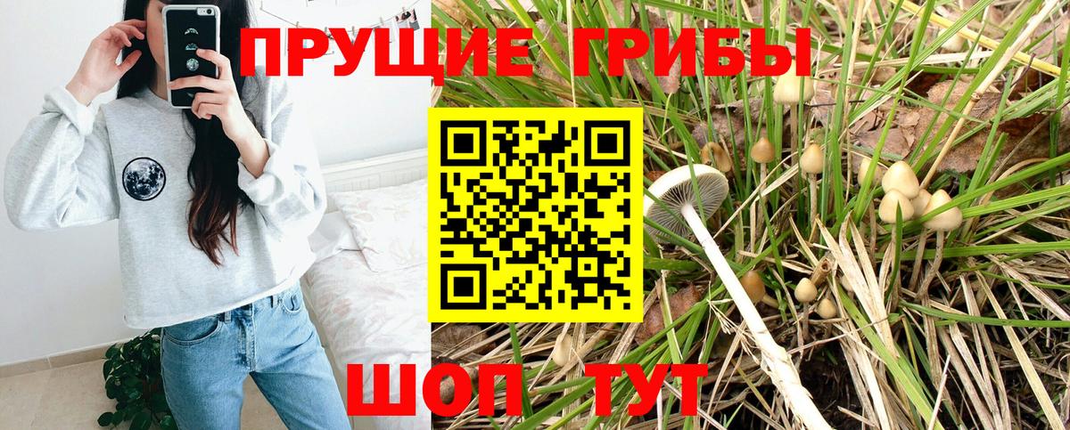 Галлюциногенные грибы Psilocybe Лосино-Петровский